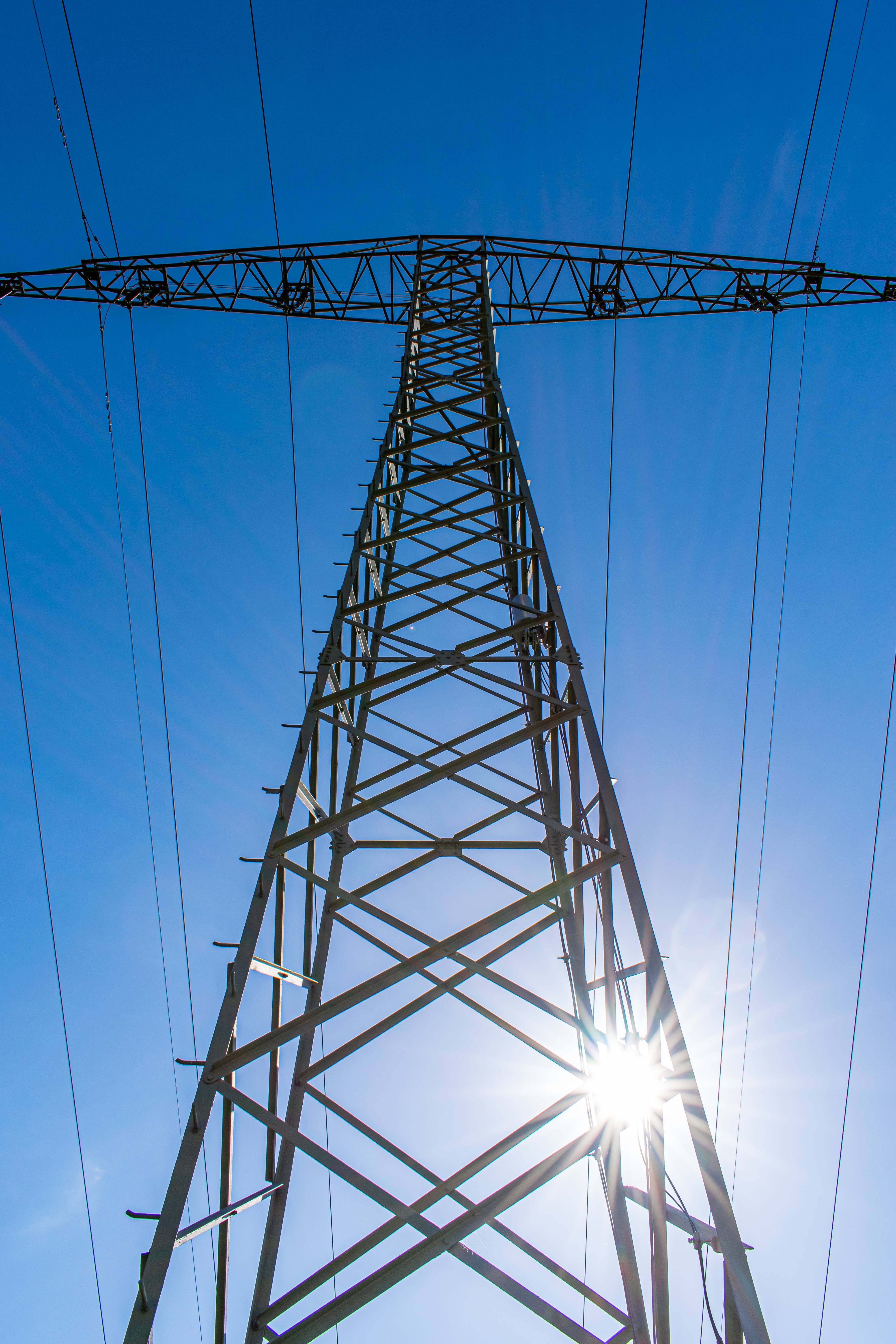 guardian-of-the-electrical-tower.jpg